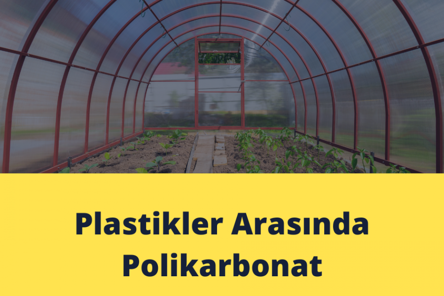 Plastikler Arasında Polikarbon