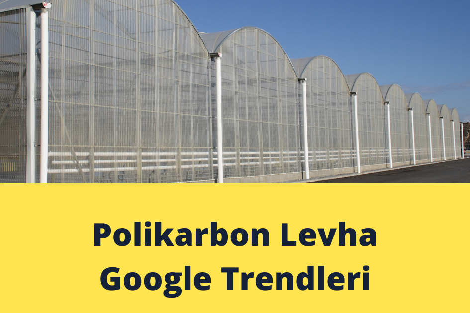 Polikarbon Levha Google Trendleri